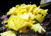 菠萝炒牛肉的做法
