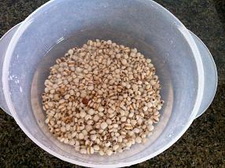 薏米南瓜玉米粥做法步骤2