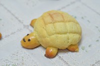 萌宠小乌龟菠萝包怎么做