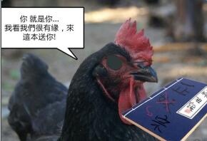 台湾正宗麻油鸡怎么做好吃，各种家常麻油鸡的正宗做法
