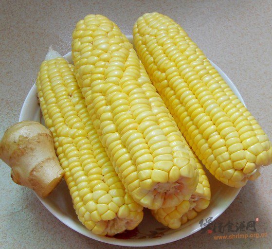 玉米骨头汤的做法