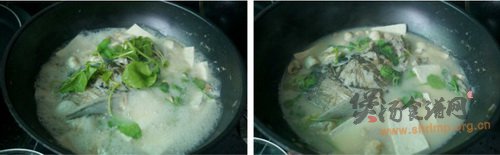 菌菇鱼头汤的做法