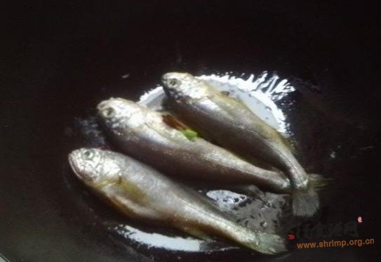 木耳小黄鱼汤的做法