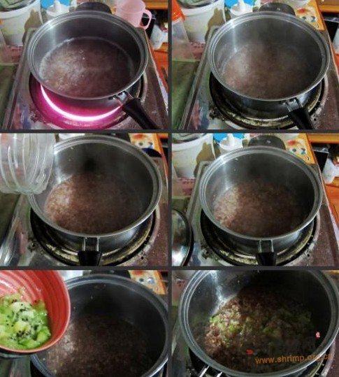 奇异果红米粥的做法