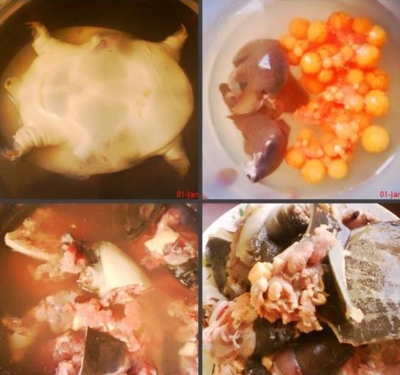 鸡汤炖甲鱼的做法