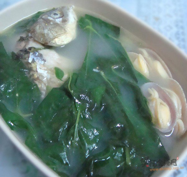 鲫鱼花蛤枸杞叶汤的做法