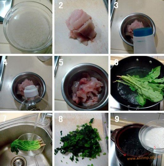 草鱼菠菜粥的做法