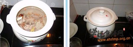 清润龙骨木瓜汤的做法