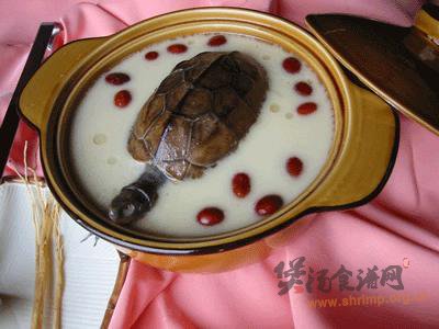 百合枣龟汤的做法