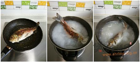 薏米鲫鱼汤的做法