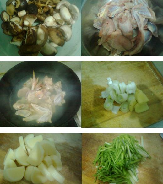 蘑菇土豆炖鸡的做法