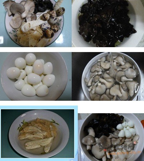 大骨菌菇汤的做法