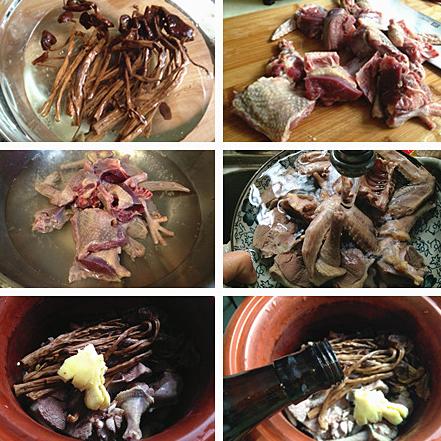 茶树菇炖鸽子的做法