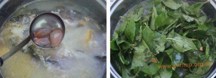 鲫鱼花蛤枸杞叶汤的做法