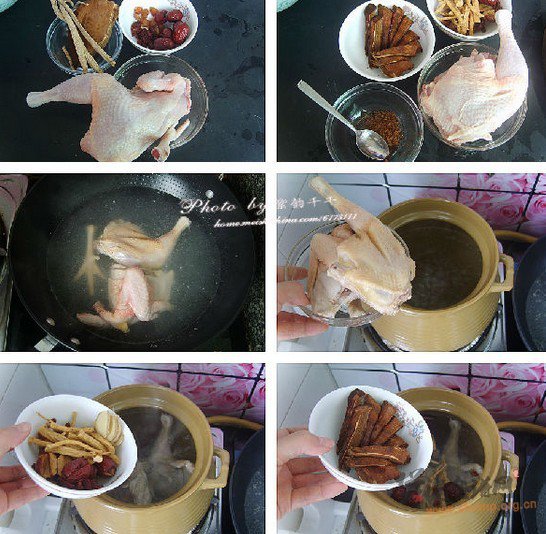 鲜灵芝煲鸡汤的做法