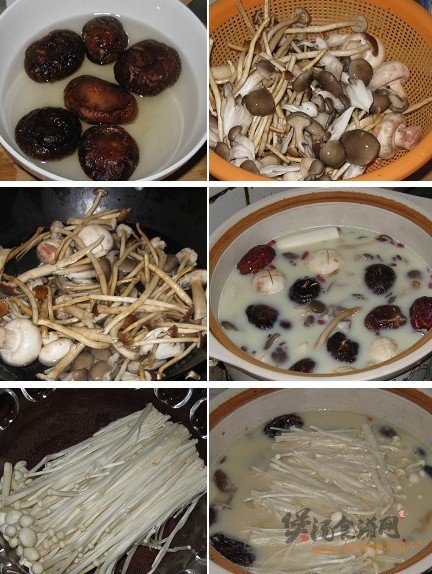 龙骨豆浆菌菇煲的做法