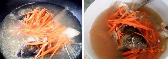 胡萝卜鱼头汤的做法