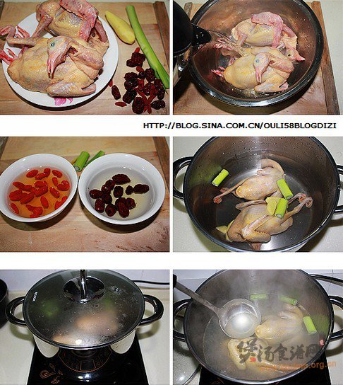 枣杞乳鸽汤的做法