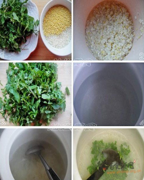 双米荠菜粥的做法