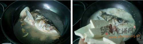 菌菇鱼头汤的做法