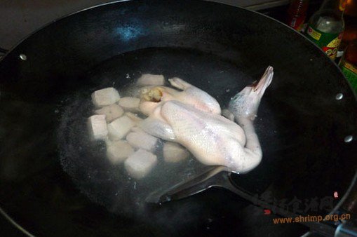 冬瓜水鸭汤的做法