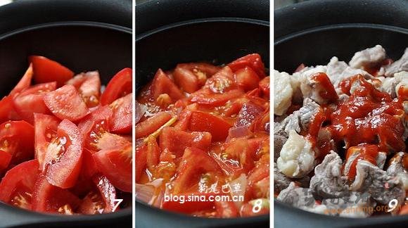 番茄牛腩煲的做法