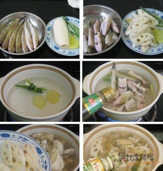 尖梭鱼莲藕汤的做法