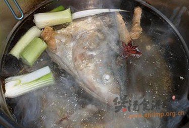 鲢鱼头尾汤的做法