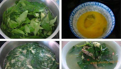 枸杞菜叶猪肝瘦肉汤的做法