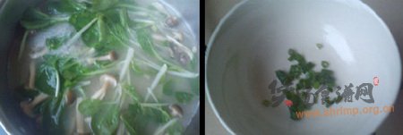 蟹味菇青菜汤的做法