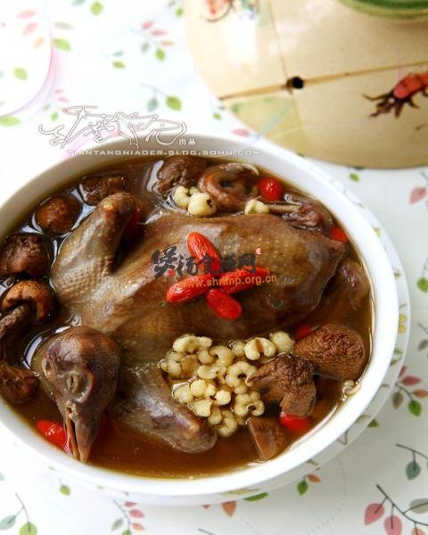 超级滋补的松茸乳鸽汤——夏季女性美容养身汤的做法