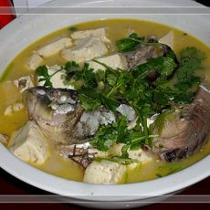 鲤鱼炖豆腐的做法